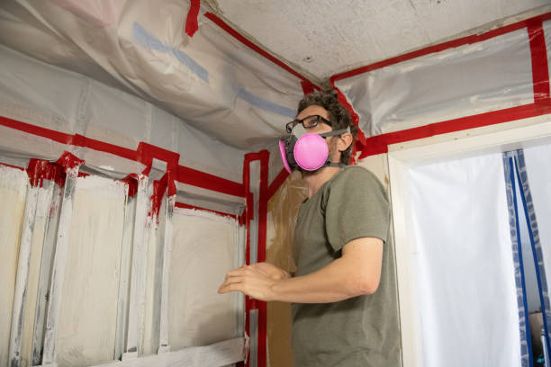Best Mold Removal for HVAC Installations  in Pequot Lakes, MN