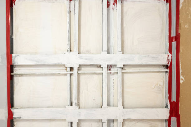Best Emergency Mold Remediation  in Pequot Lakes, MN
