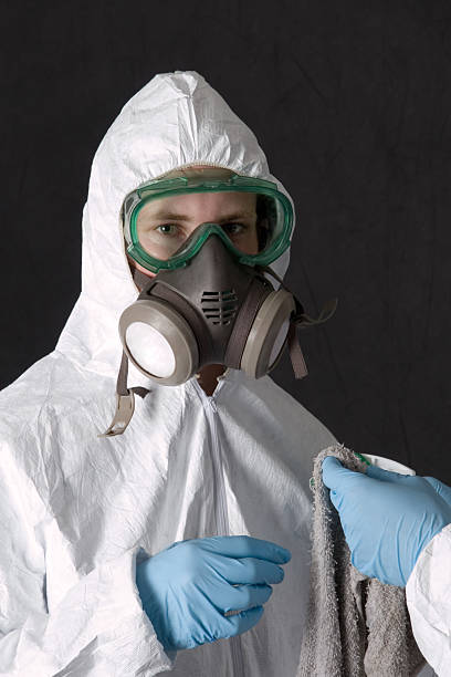 Trusted Pequot Lakes, MN Mold Removal Experts
